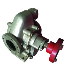 Stainless steel gear pump food safety pump pressure pump